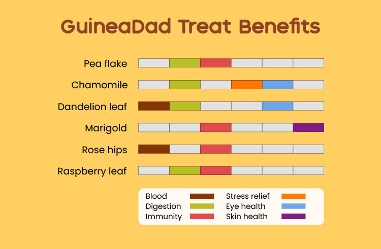 Subscription - GuineaDad Marigold Treat Cups (100% All Natural)