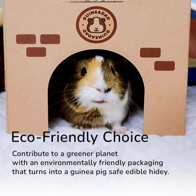 GuineaDad Premium Guinea Pig Pee Pads (Pack of 5)
