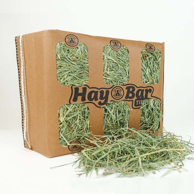 Front View of Guineadad Timothy Hay Bar