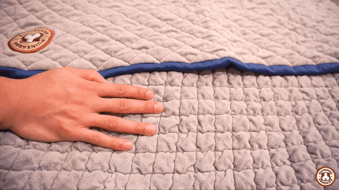 how to take care of guinea pig fleece bedding