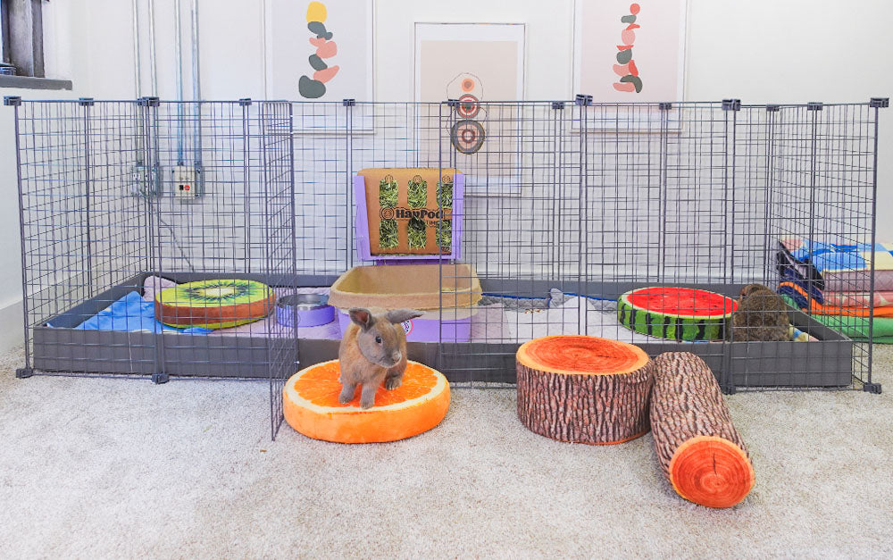 BunnyDad Cages & Habitats