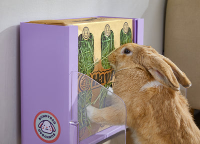 BunnyDad BunnyLet Litter Box/Feeder + Hay Bundle (Starter Kit)