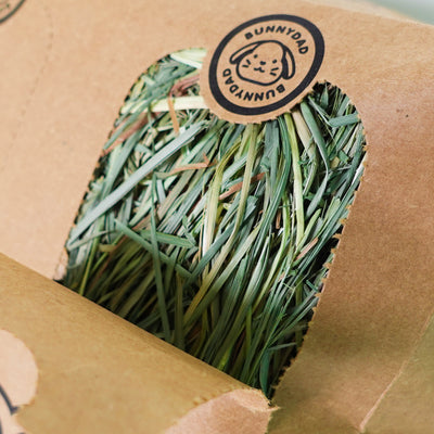 Subscription - BunnyDad Timothy Hay Box for Rabbits