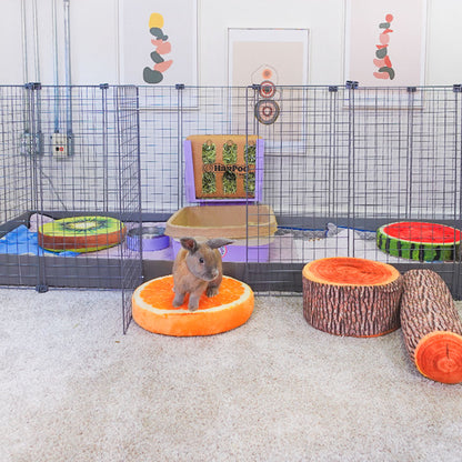 BunnyDad Bunny Condo Rabbit Cage (C&C)