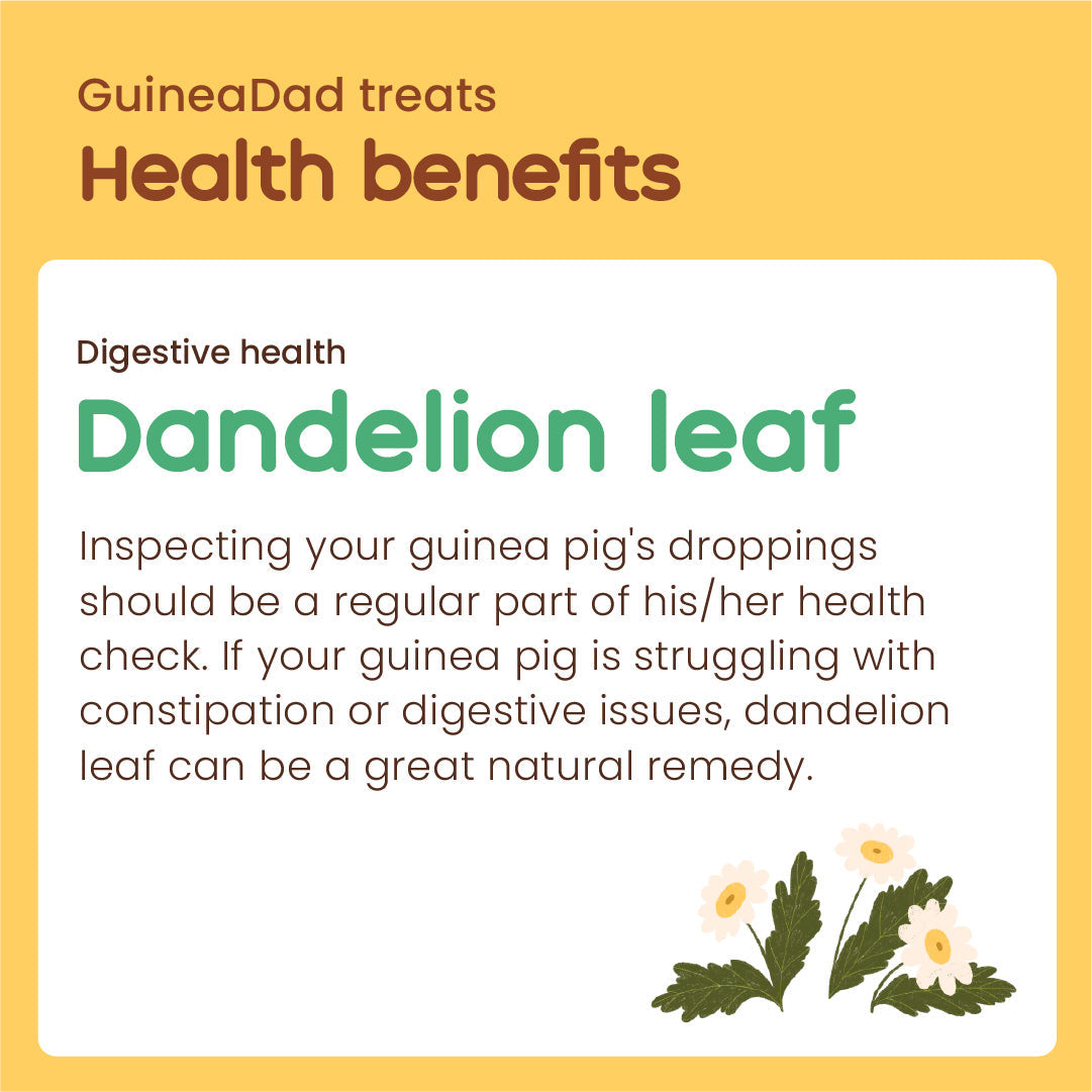 Subscription - GuineaDad Dandelion Leaf Treat Cups (100% All Natural)