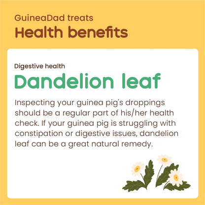 Subscription - GuineaDad Dandelion Leaf Treat Cups (100% All Natural)