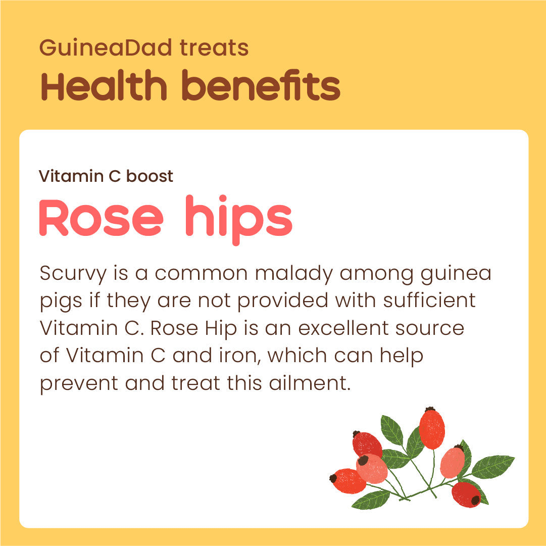 Subscription - GuineaDad Rose Hip Treat Cup (100% All Natural)