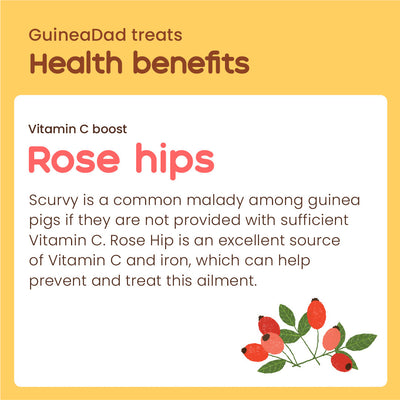 Subscription - GuineaDad Rose Hip Treat Cup (100% All Natural)