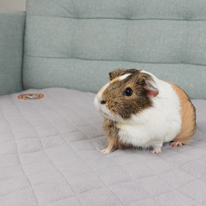GuineaDad Original Liner (No Pocket)