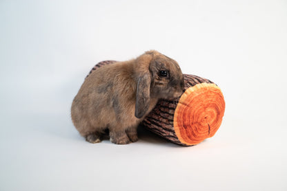 BunnyDad Tree Stump and Log Cushions
