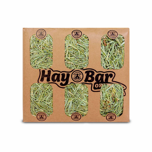 GuineaDad Orchard Hay Bar for Guinea Pigs (5 Pack)