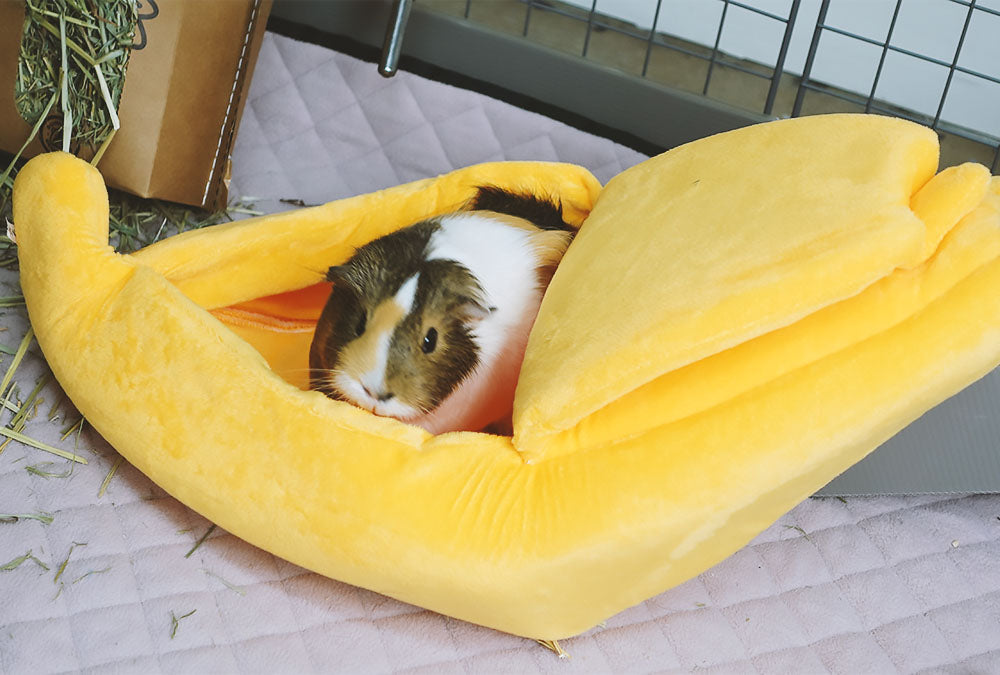 BunnyDad Banana Hidey for Rabbits