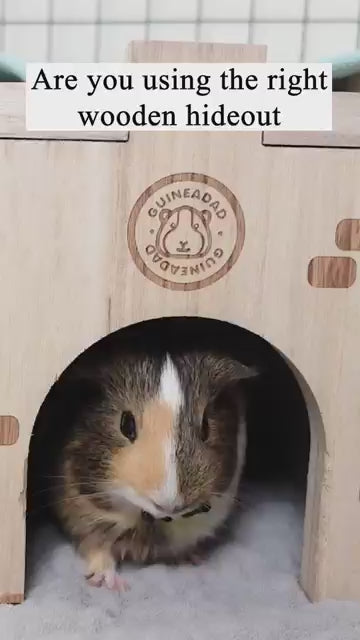 GuineaDad Wooden Castle Hidey For Guinea Pigs