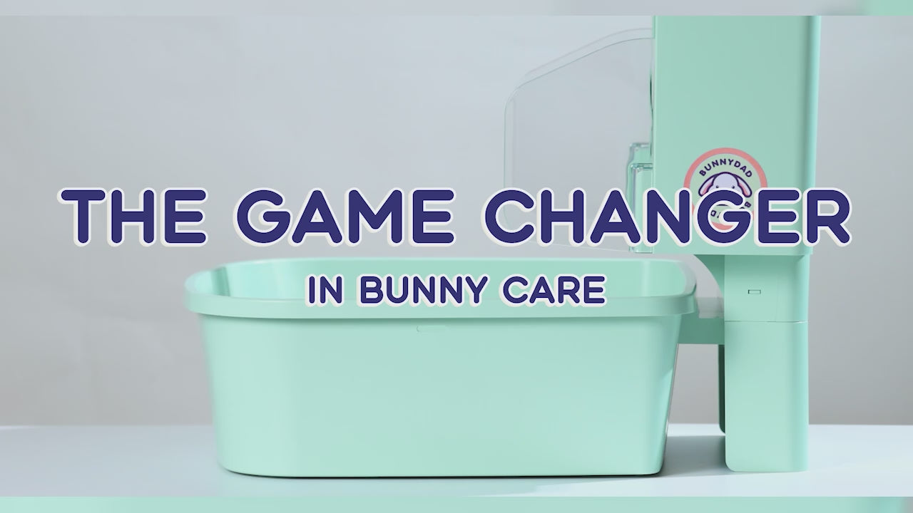 BunnyDad BunnyLet Rabbit Litter Box + Hay Feeder System
