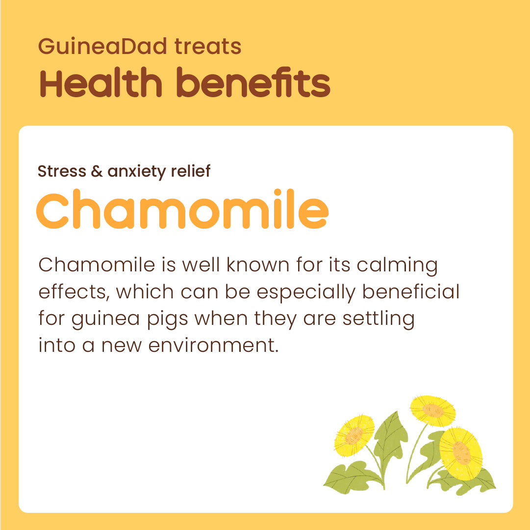 GuineaDad Chamomile Treat Cups (100% All Natural)