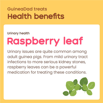 GuineaDad Raspberry Leaf Treat Cups (100% All Natural)