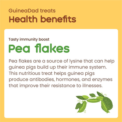 GuineaDad Pea Flakes Treat Cups (100% All Natural)